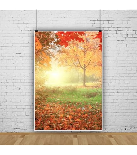Amazon | Qinunipoto 撮影用 背景布 秋 落ち葉の紅葉撮影 背景 背景幕